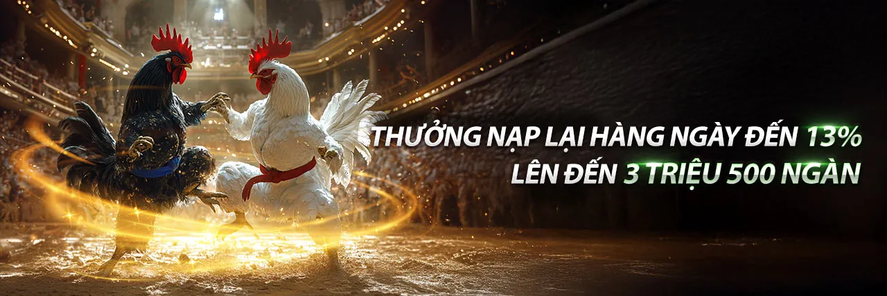Chương Trình Đối Tác i9bet100